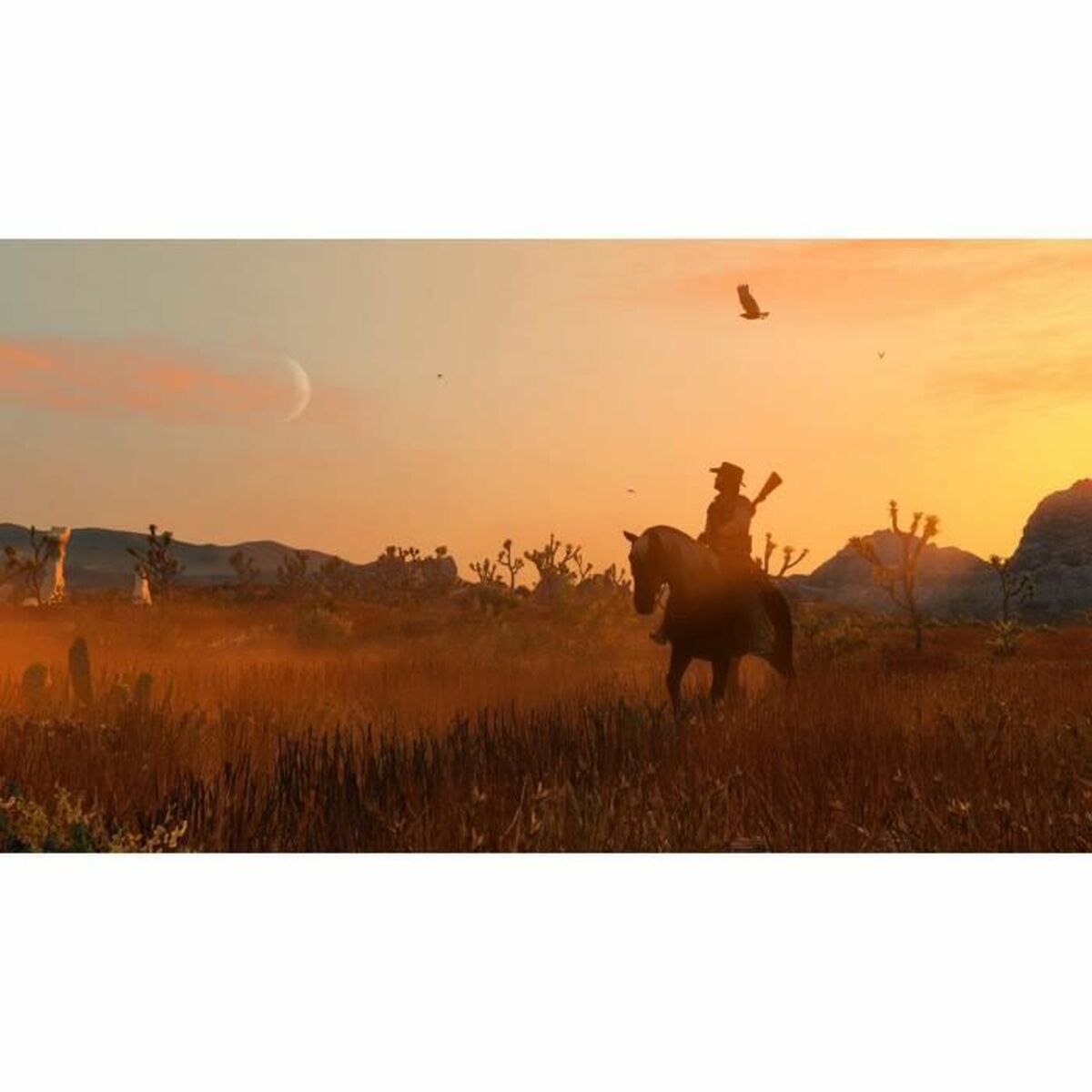 Video game for Switch Rockstar Games